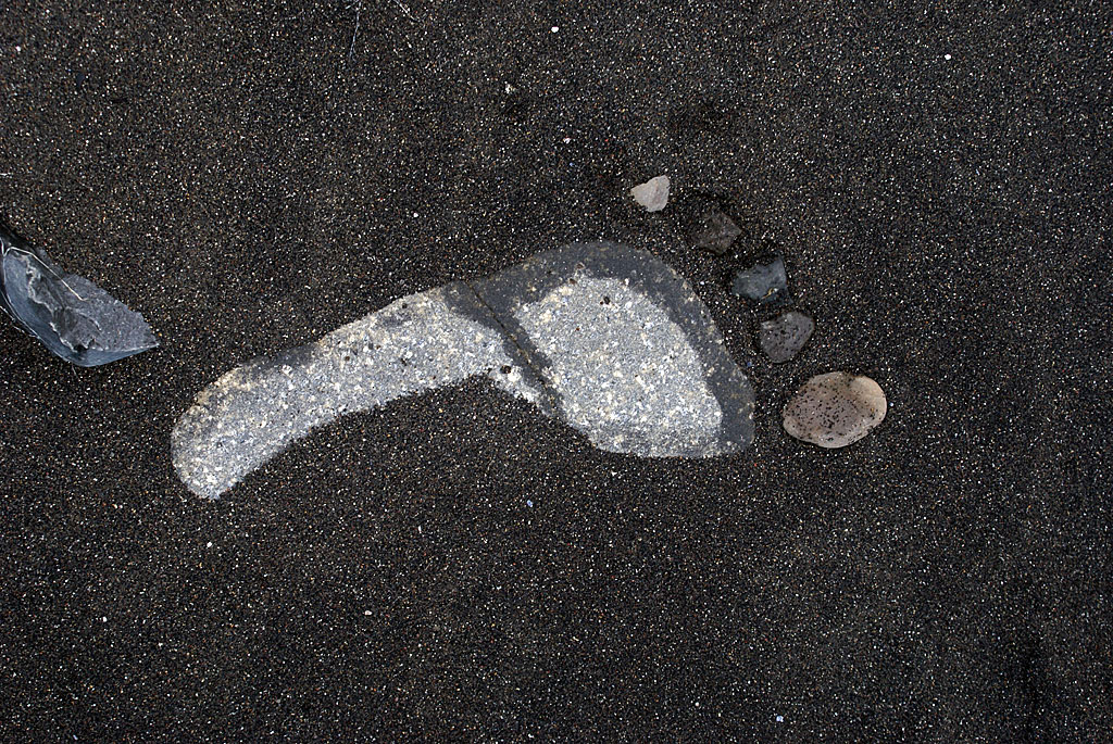 While my footprint fades away...